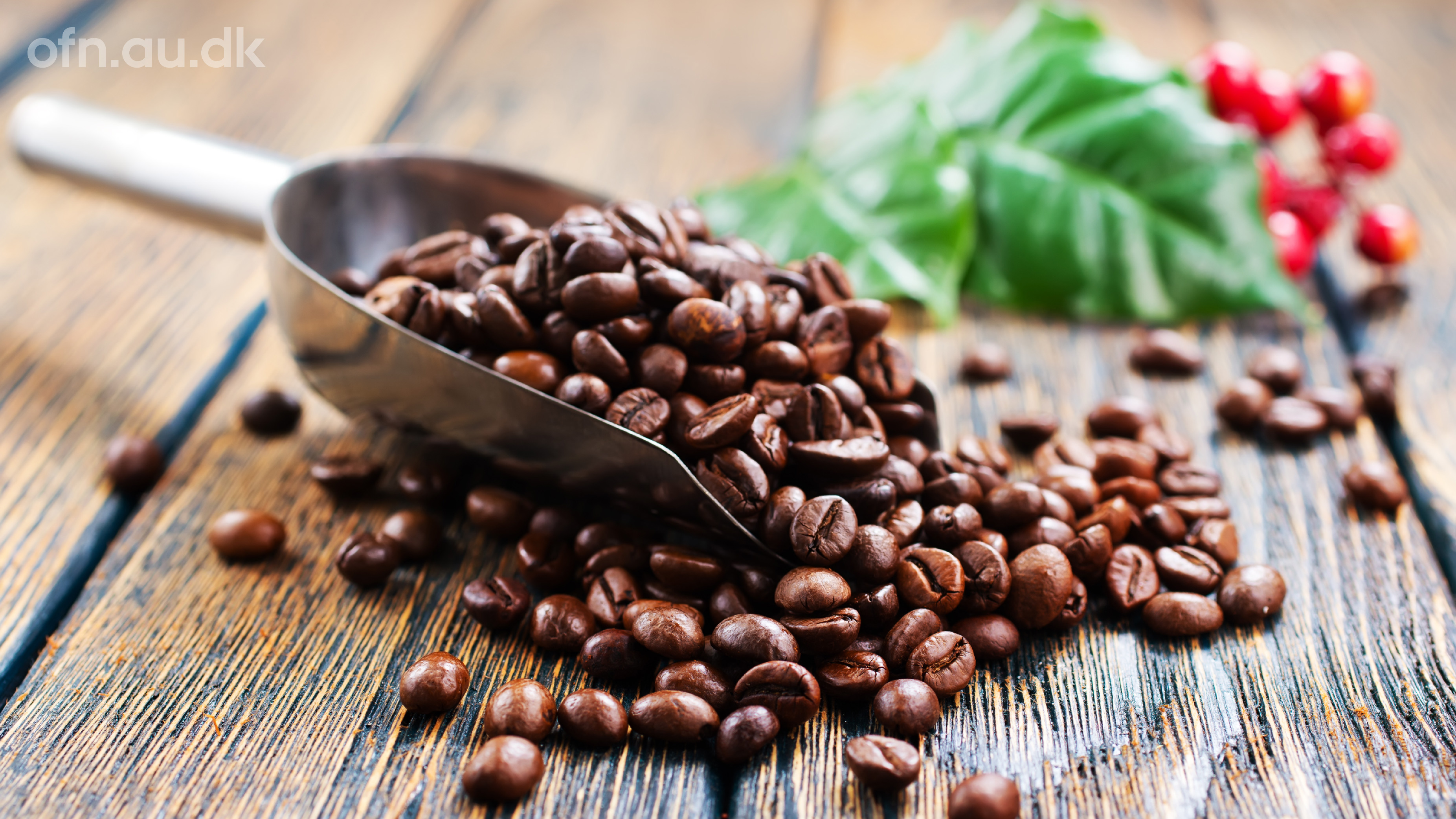 Livestream: Kaffe